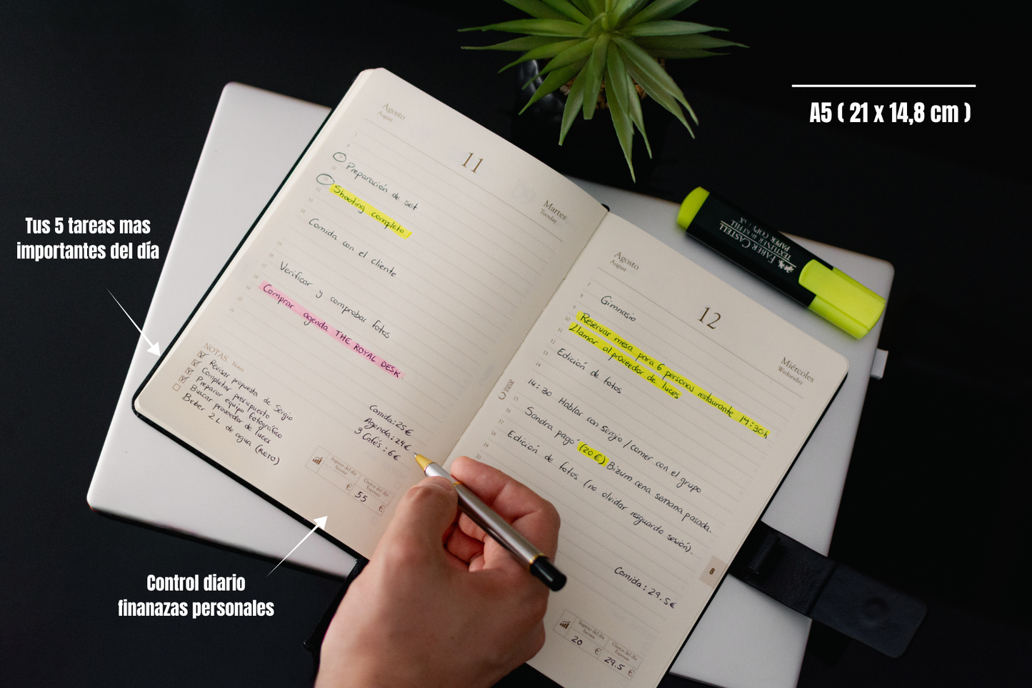REGAL A5 — Agenda día por página | tamaño práctico (21 × 14,8 cm)