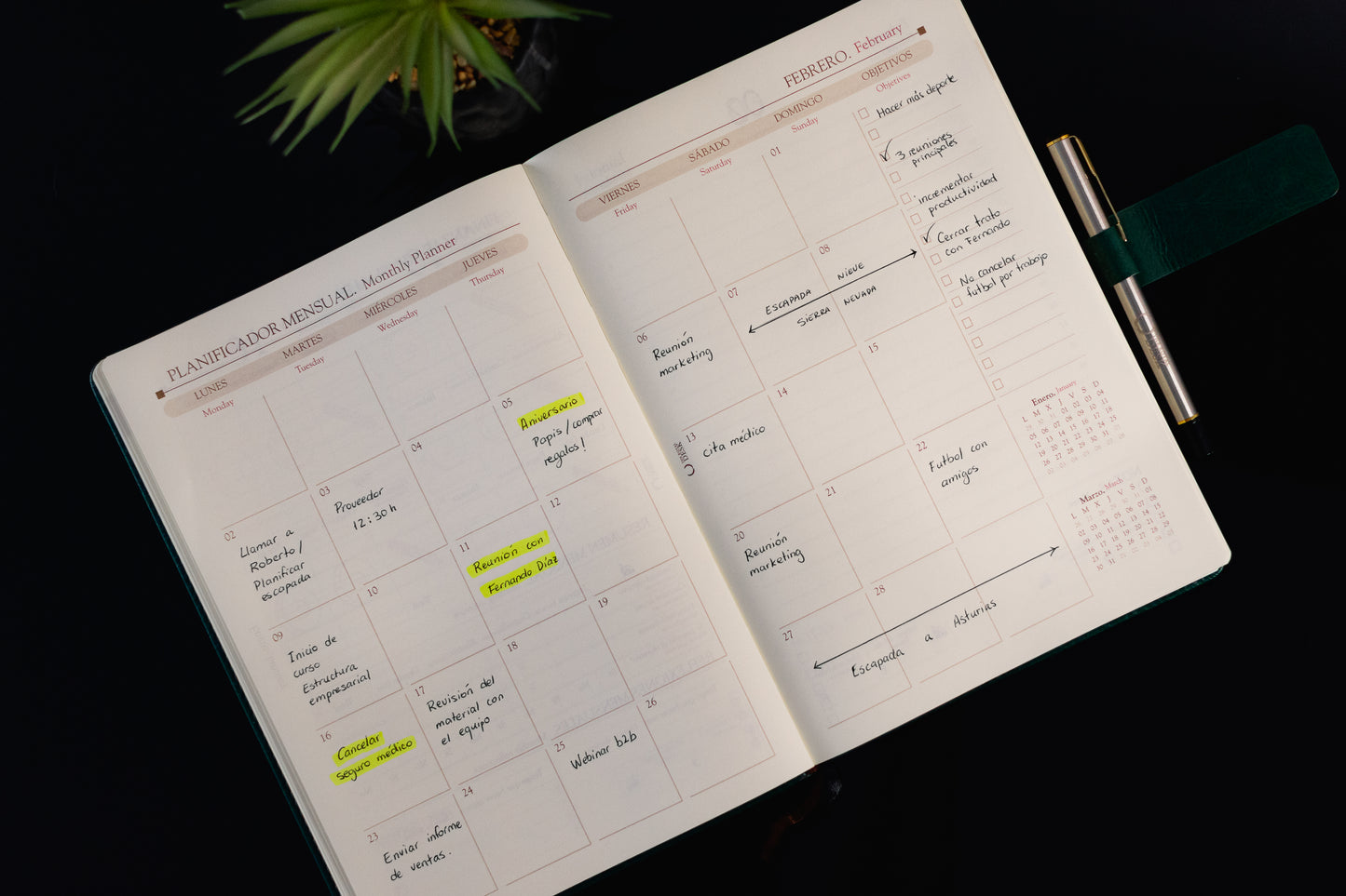 REGAL B5 — Agenda día por página | tamaño ideal (25,5 × 18 cm)